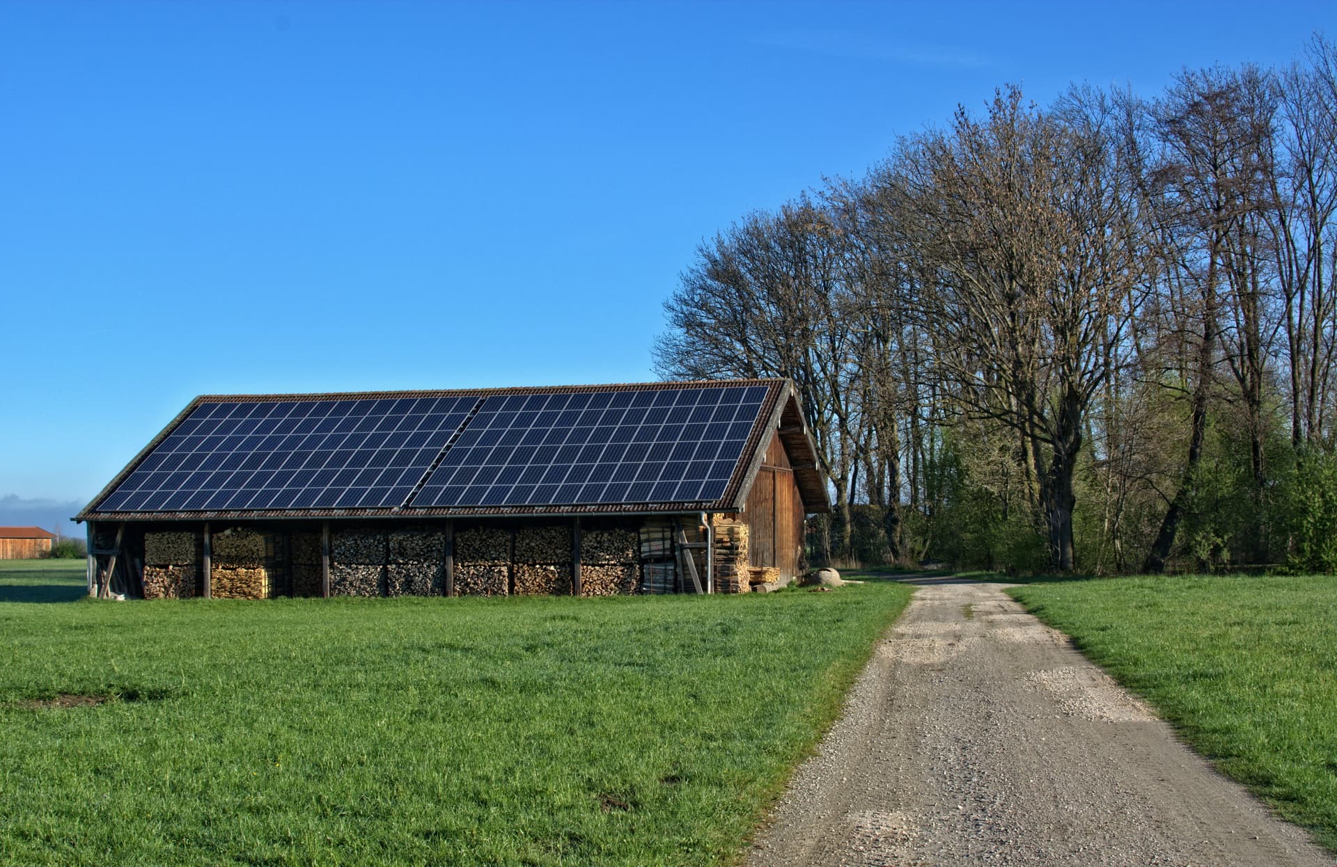 In Our Land All Energy Generation Will Be Solar